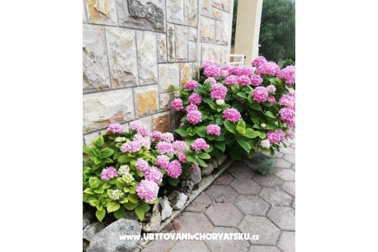 Apartmani Iva – foto 12