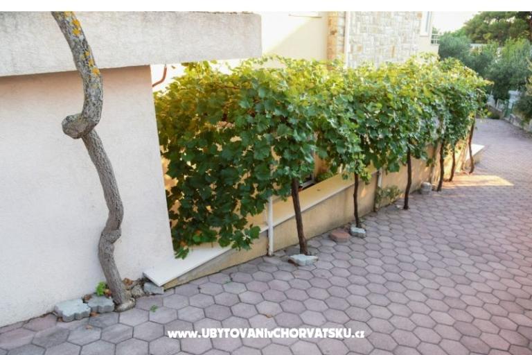 Apartmani Iva – foto 13