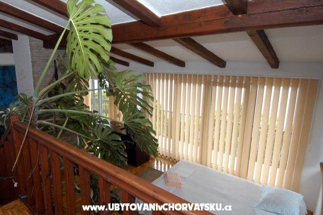 Apartmani Petričević – foto 2