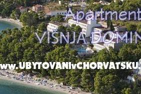 Apartmani Mimoza – foto 8