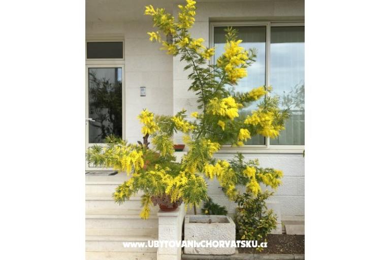 Kuća Grazia – foto 7
