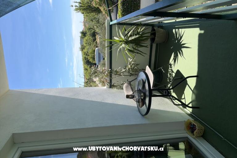 Apartman Ruža – foto 8