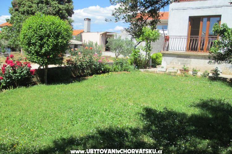 Apartman Dara – foto 15