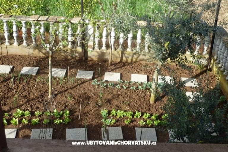 Apartman Petar i Agica Sabljak – foto 14