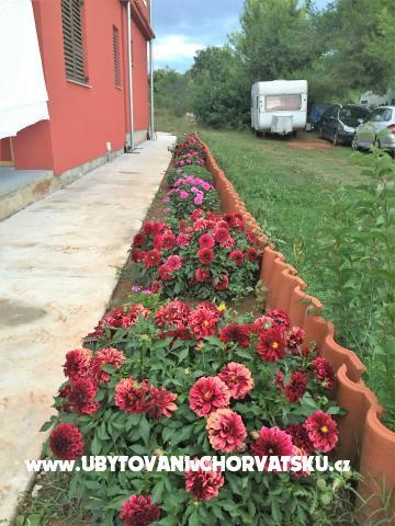 Apartmani Gabrijel – foto 3