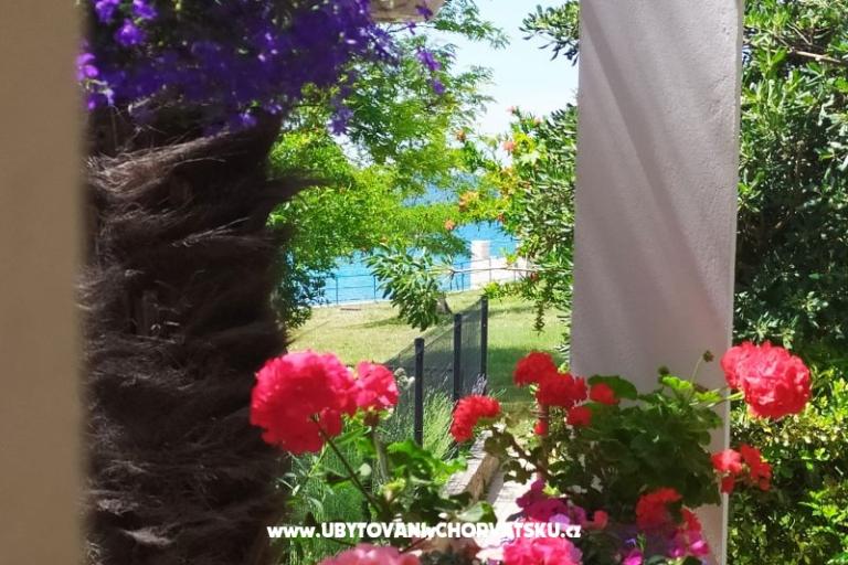 Apartmani i sobe Sandra – foto 14