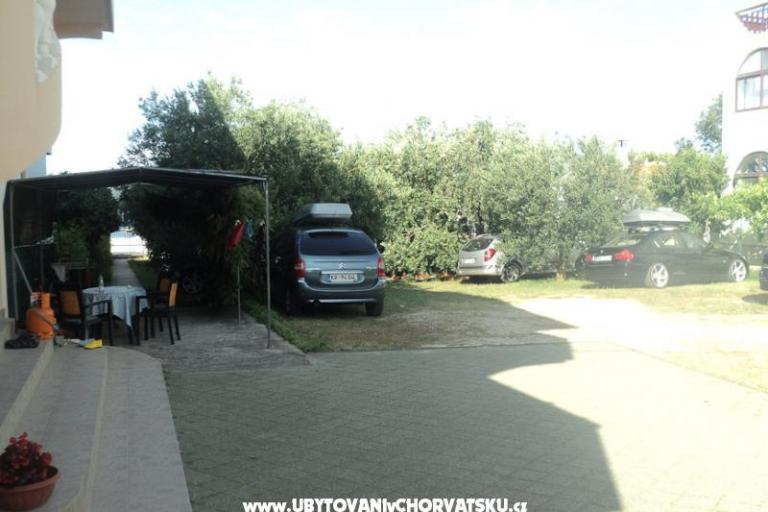 Apartmani  Maslina – foto 6