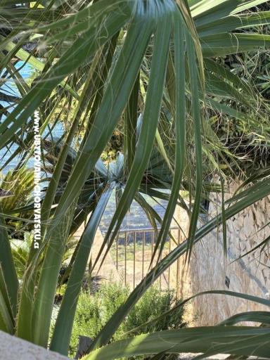 Apartmani Šime – foto 12