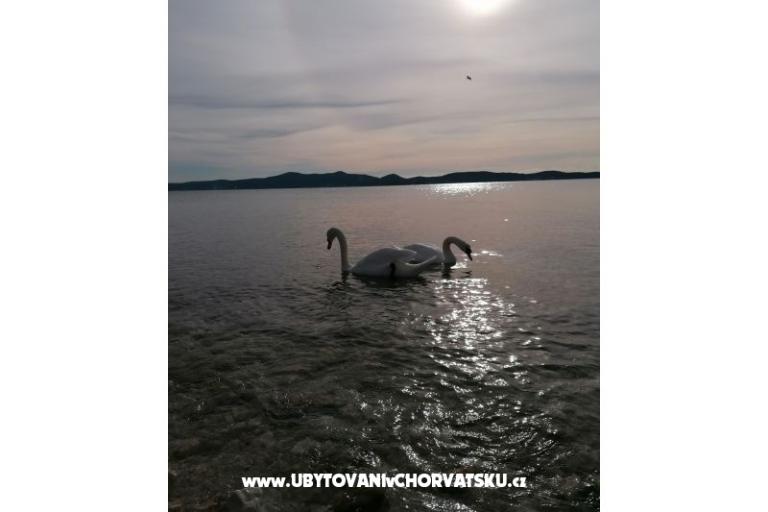 Apartmani Vinko – foto 13