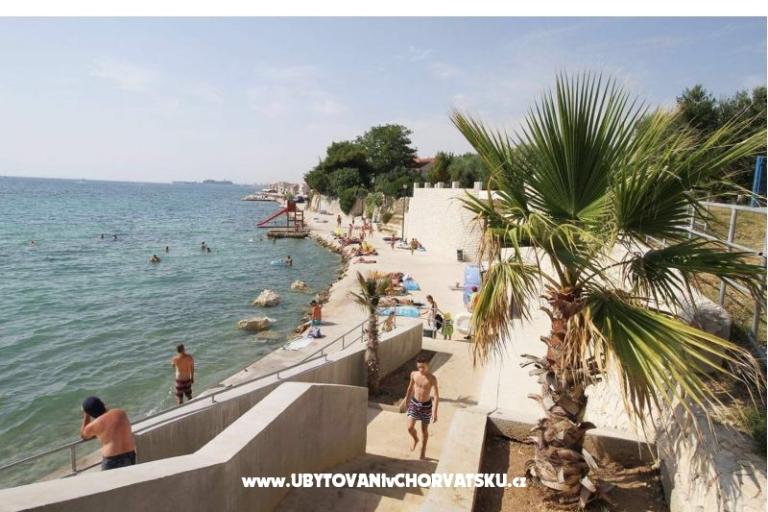 Apartmani i Sobe Ivo – foto 4