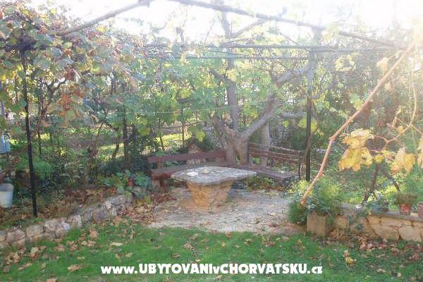 Apartmani and Kuća Spika – foto 6