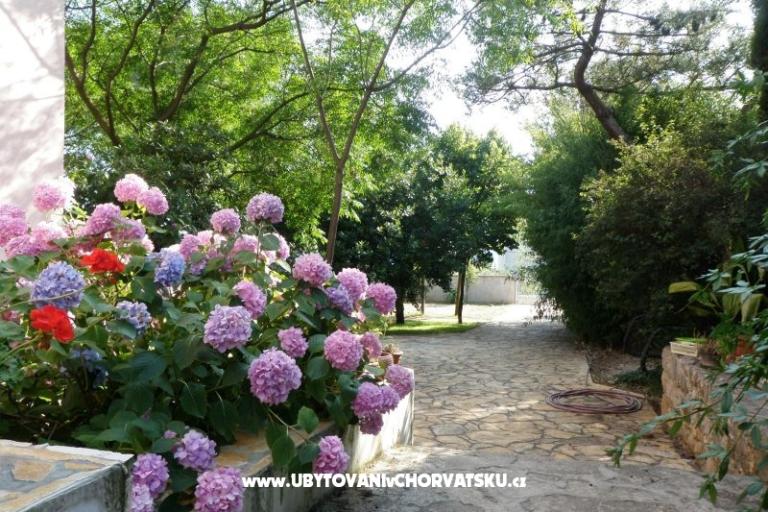 Apartmani Lolinka Bibinje – foto 12