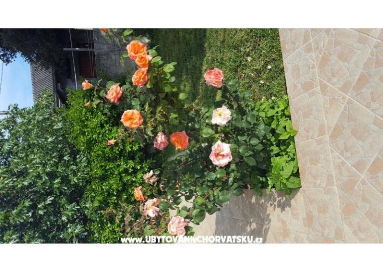 Kuća for relax by the Sea – foto 12