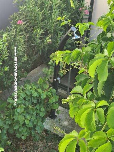 Apartman Mare - prvi red uz more – foto 10