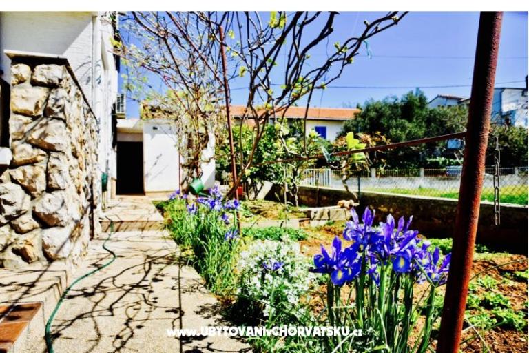 Apartmani Grcić – foto 14