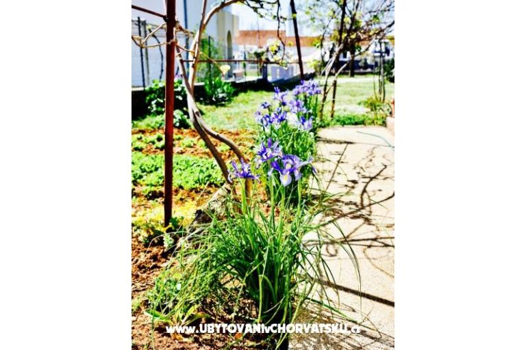 Apartmani Grcić – foto 15