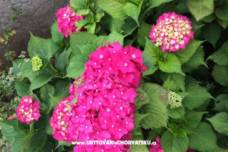 Apartmani Jurov – foto 15