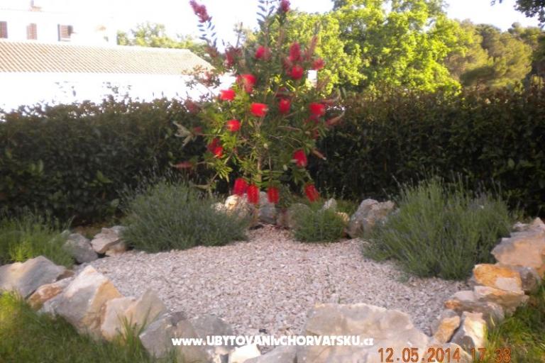 Apartmani M&amp;M – foto 10