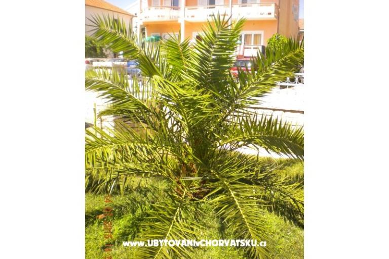Apartmani M&amp;M – foto 9