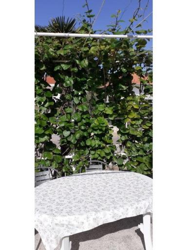 Apartmani Margarita – foto 15