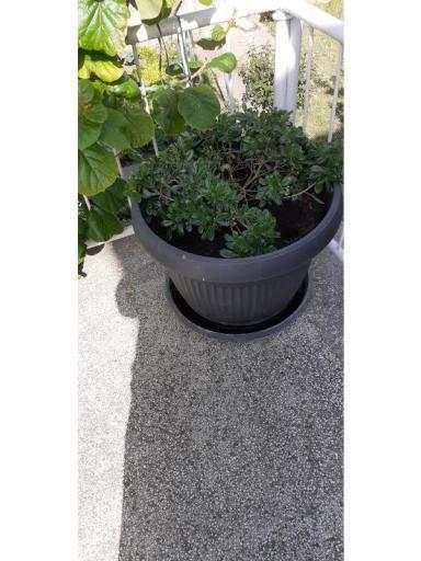 Apartmani Margarita – foto 2