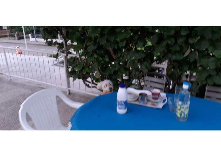 Apartmani Margarita – foto 4