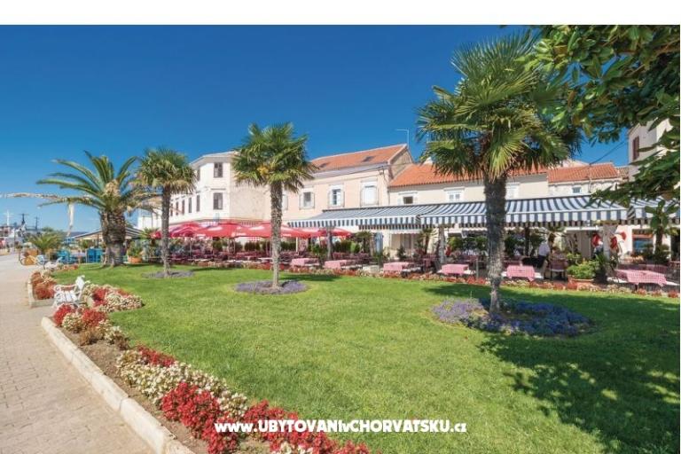 Apartmani Nikola – foto 14