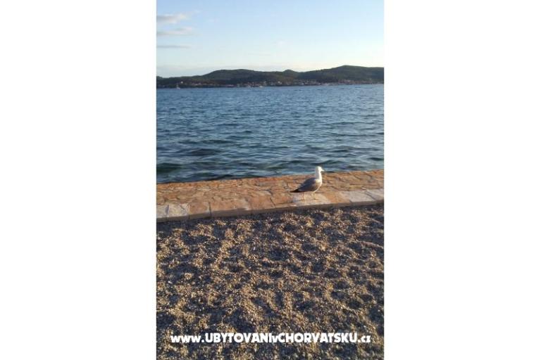 VILLA BERNARD..150 m plaža DRAŽICA – foto 24