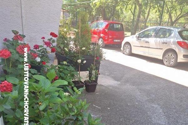 VILLA BERNARD..150 m plaža DRAŽICA – foto 51