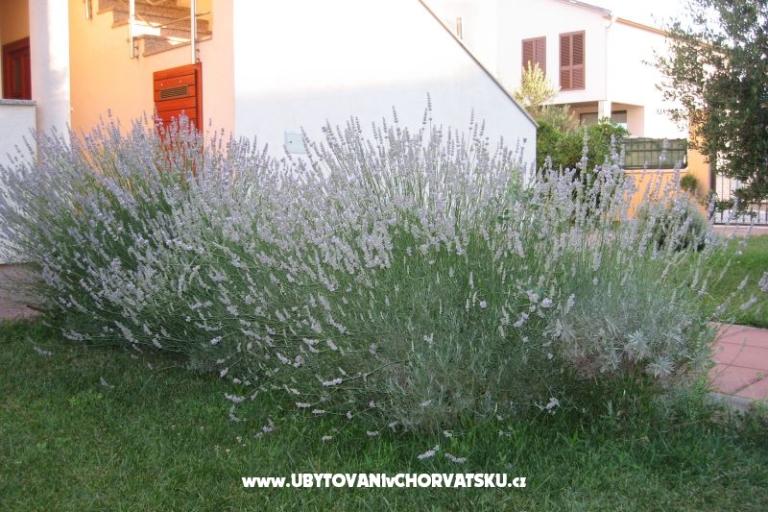 Apartmani Blandona – foto 7