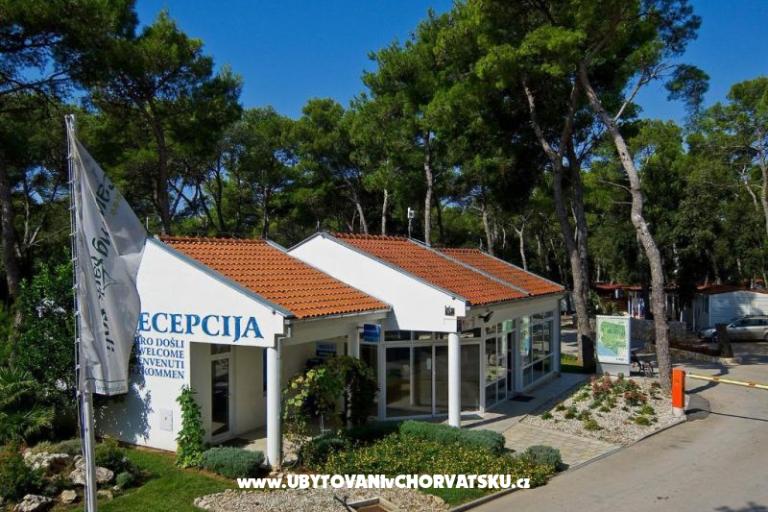 Kampovi Dalmacija – foto 4