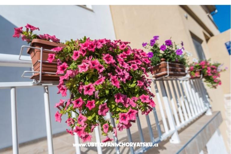 Apartmani Galeb – foto 3