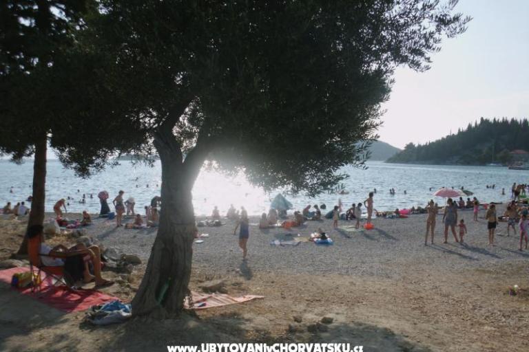 Apartmani  Petar – foto 4