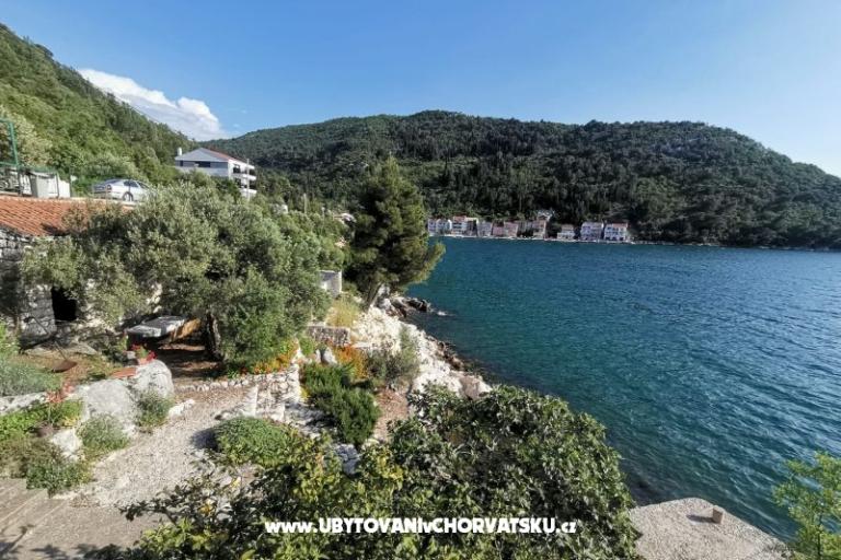 Apartmani Maja – foto 10