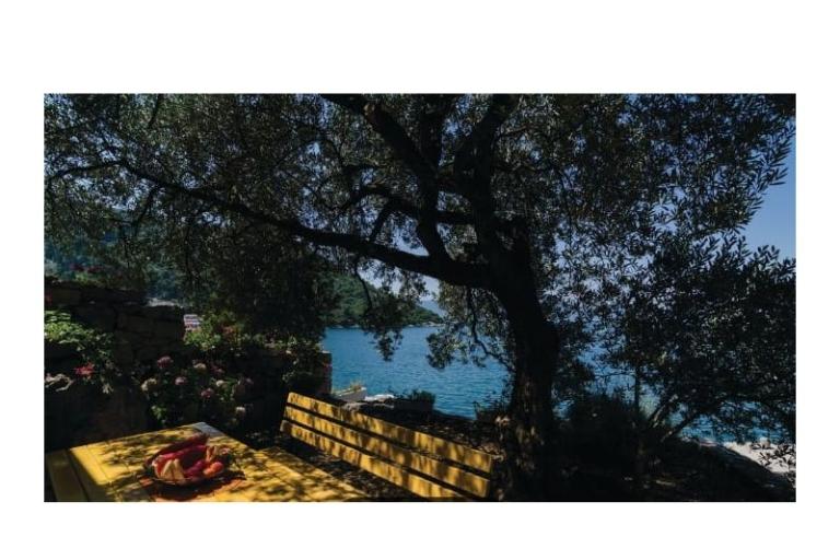 Apartmani Maja – foto 15