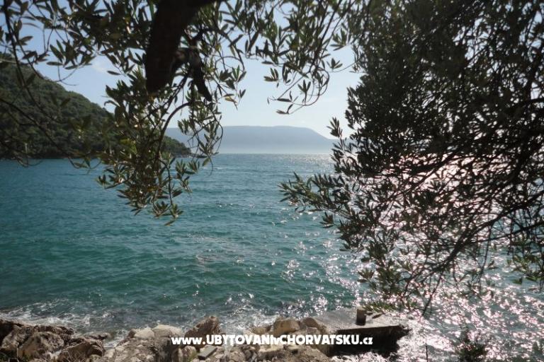 Apartmani Maja – foto 17