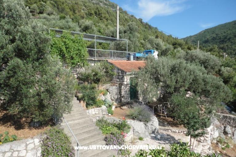 Apartmani Maja – foto 18