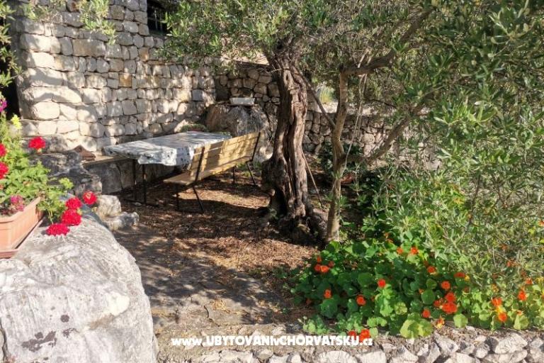 Apartmani Maja – foto 19