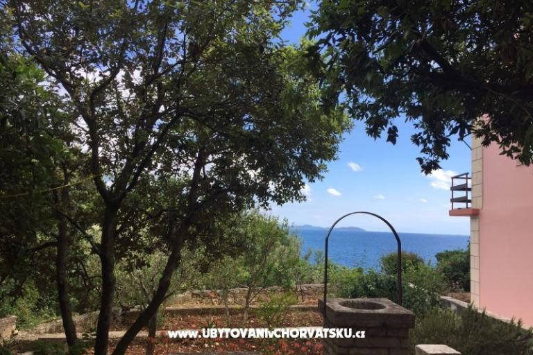 Apartmani Kraljević – foto 18
