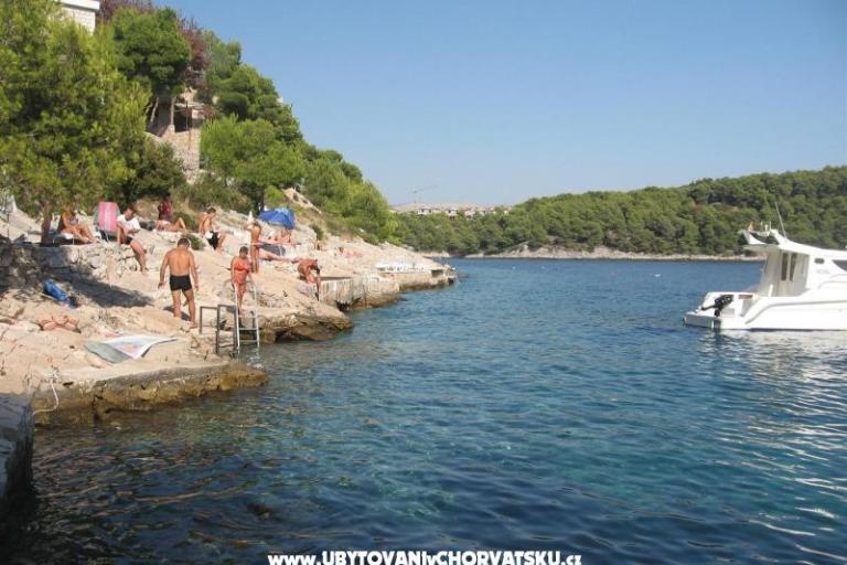 Apartmani Bili Milna Osibova – foto 7