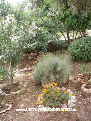 Apartmani Nada – foto 12