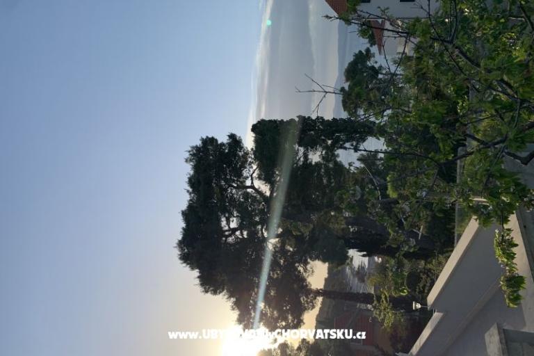 Apartman Luš – foto 10