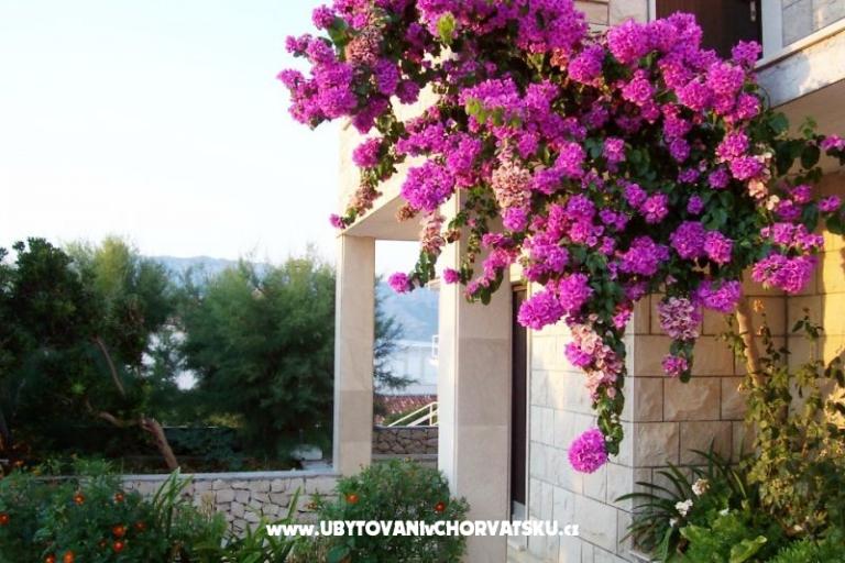 Apartmani Villa Vanja – foto 6