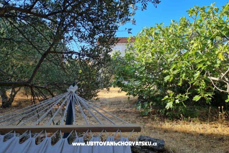 Garden Kuća Sutivan – foto 6
