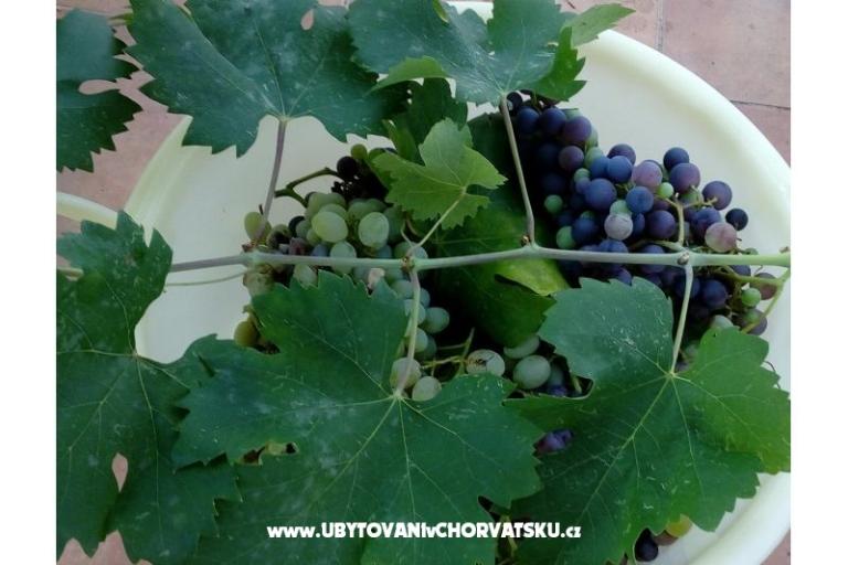 Kuća Ankica – foto 15