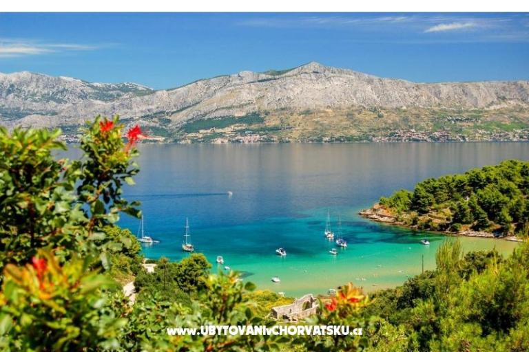 Kuća Bongovila – foto 14