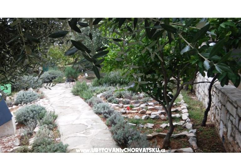 Kuća za odmor Ratac**** – foto 7
