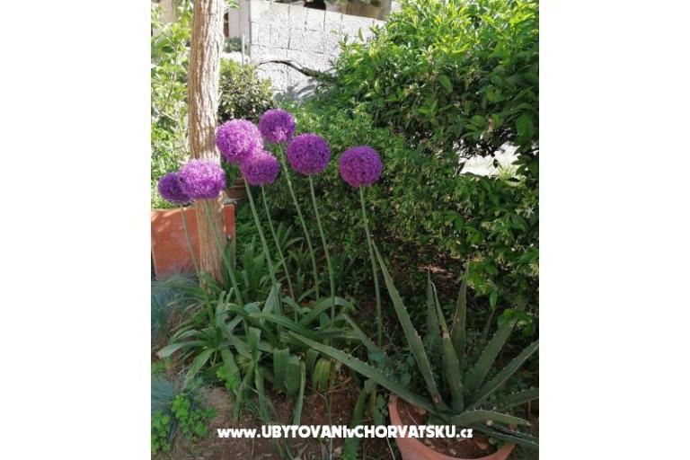 Apartmani Vesna – foto 23