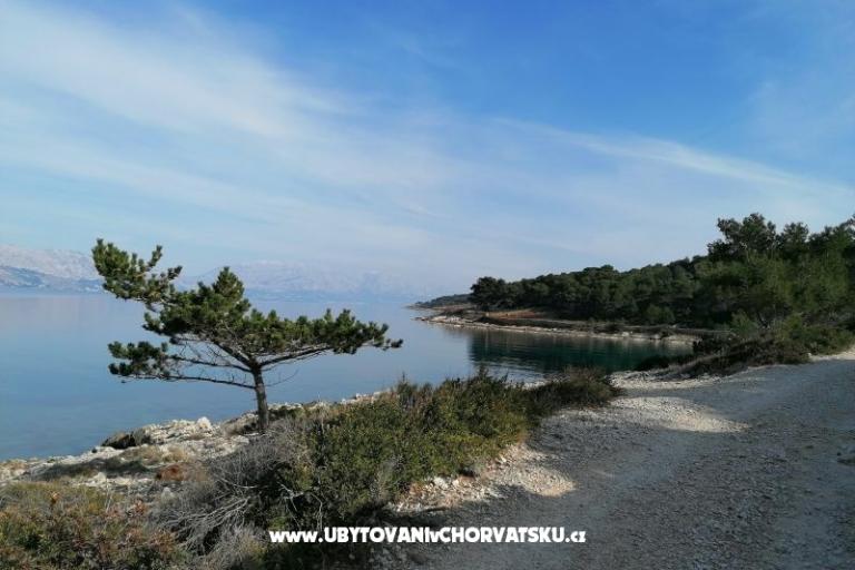 Apartmani Vesna – foto 24