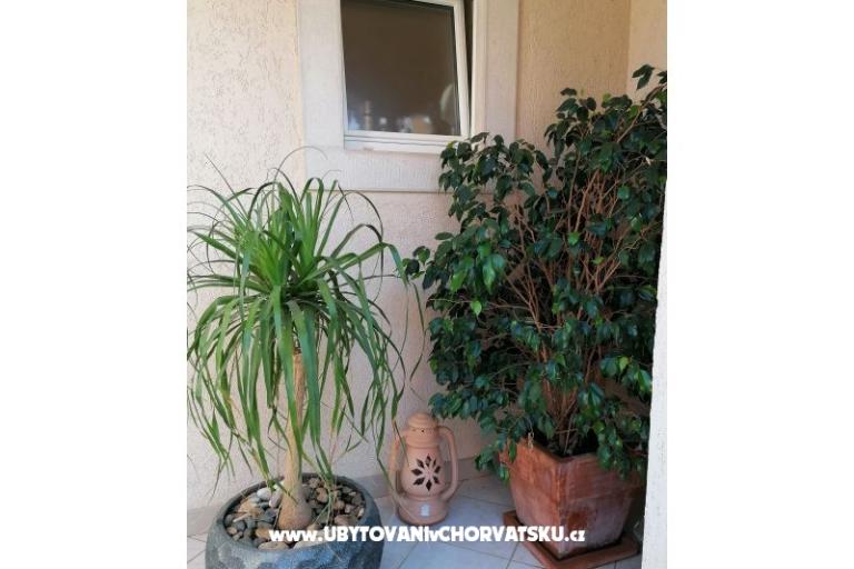 Apartmani Vesna – foto 34